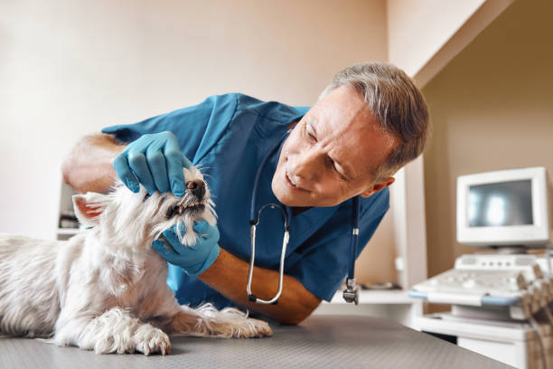 Best Weekend Emergency Dentist in Herndon, VA